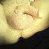 foto do perfil wallybee